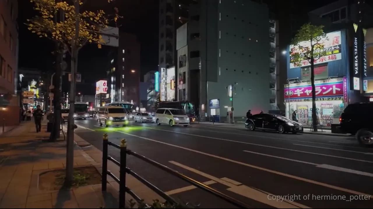 Hermione Potter Gets Fucked In Japan