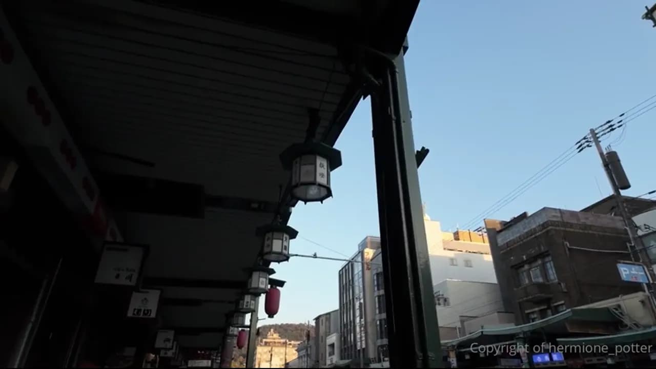 Hermione Potter Fucking After A Tour Kyoto Japan